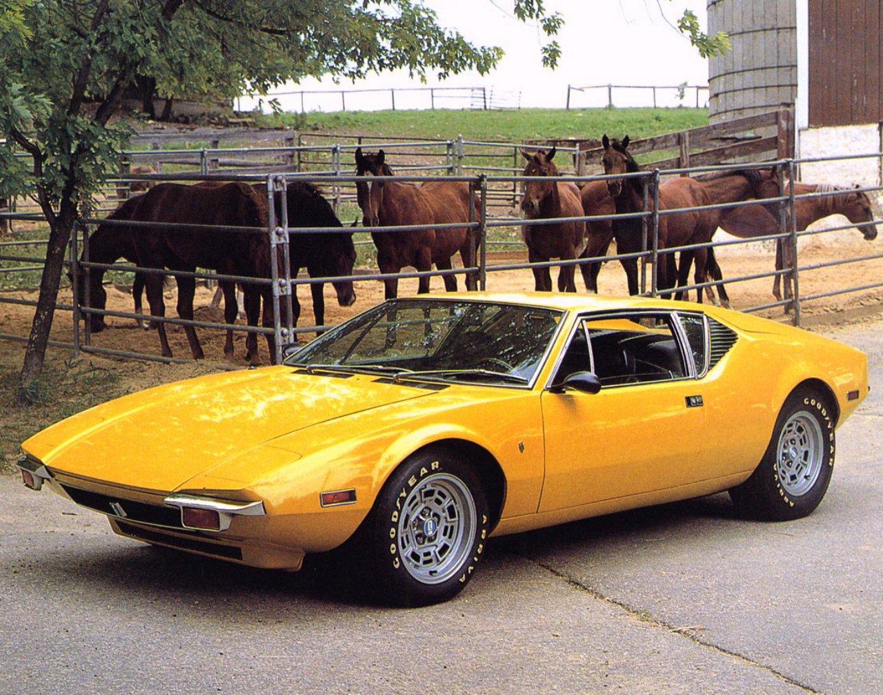 El De Tomaso Pantera color amarillo se hizo famoso porque uno de los primeros en comprarlo fue nada menos que Elvis Presley
