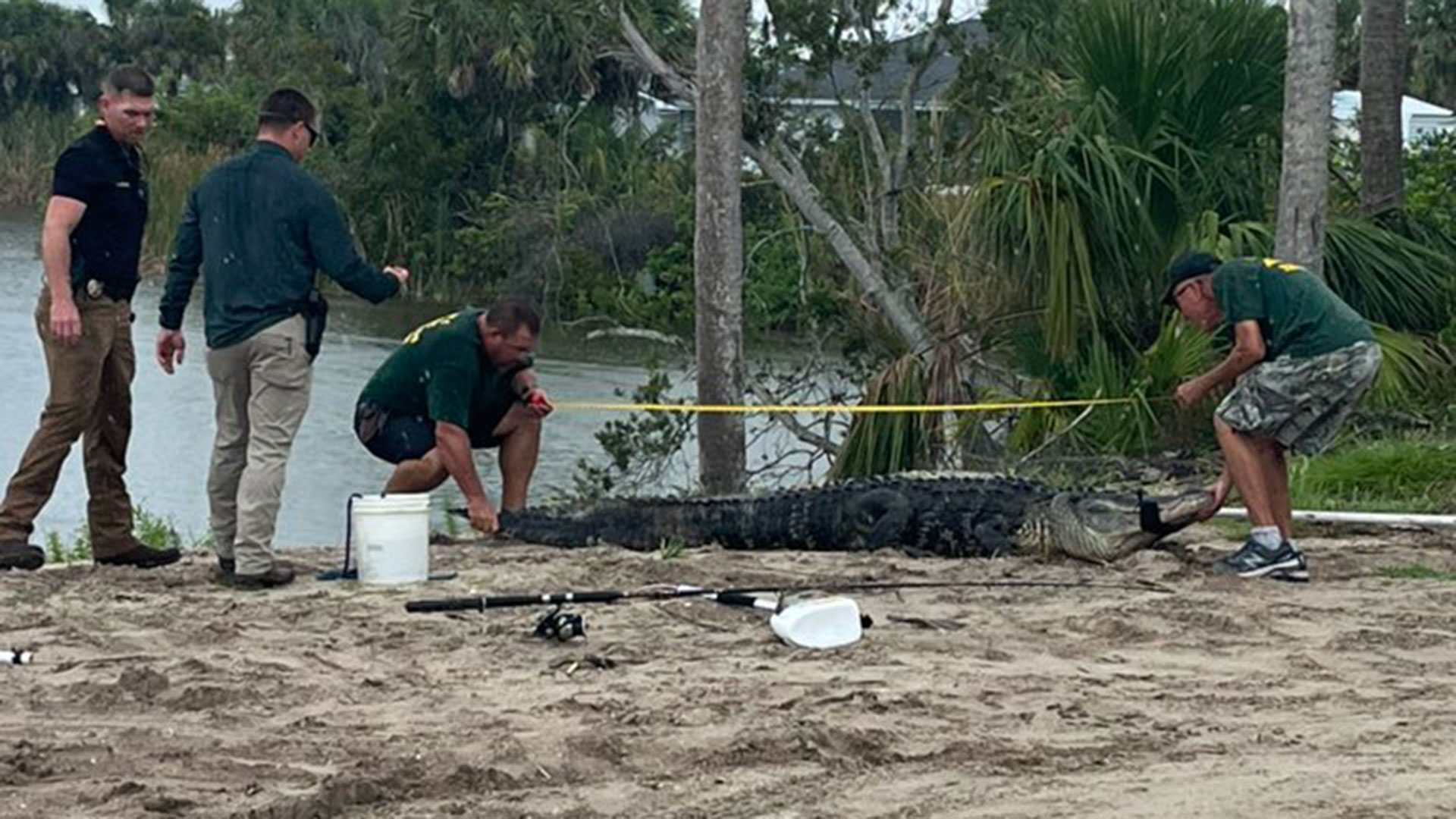 Un joven perdió su brazo tras ser atacado por un caimán de más de tres metros en Florida