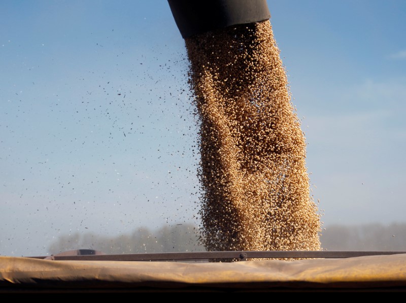 Vicentín exporta el 15% de la soja de Paraguay, según datos provisto por la empresa (REUTERS/Enrique Marcarian).