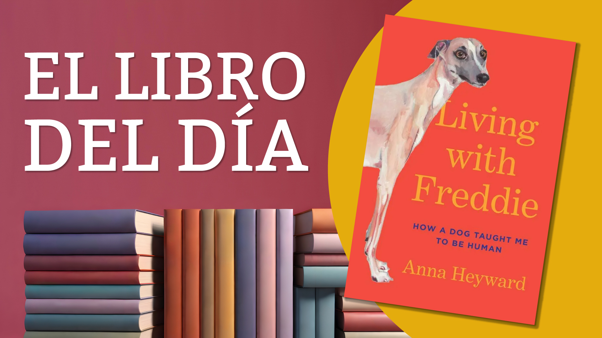 Freddie: el perro que ense&ntilde;&oacute; a su due&ntilde;a a ser humana