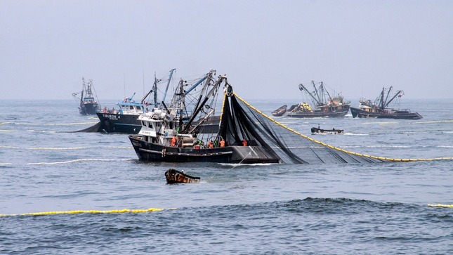 The fisheries sector fell by 14.75% in the eighth month of the year.
