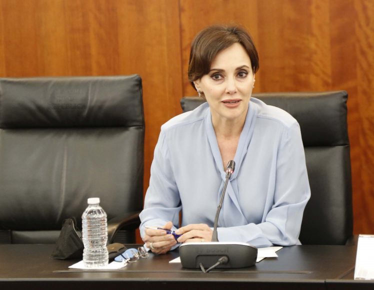Lilly Téllez condenó que AMLO busque sacar el fentanilo del mercado farmacéutico (Foto: Senadores del PAN)