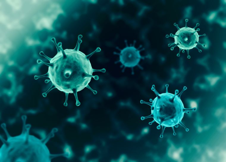 Las alteraciones en la función de las células B y T después de la hospitalización con coronavirus podrían afectar la inmunidad a más largo plazo