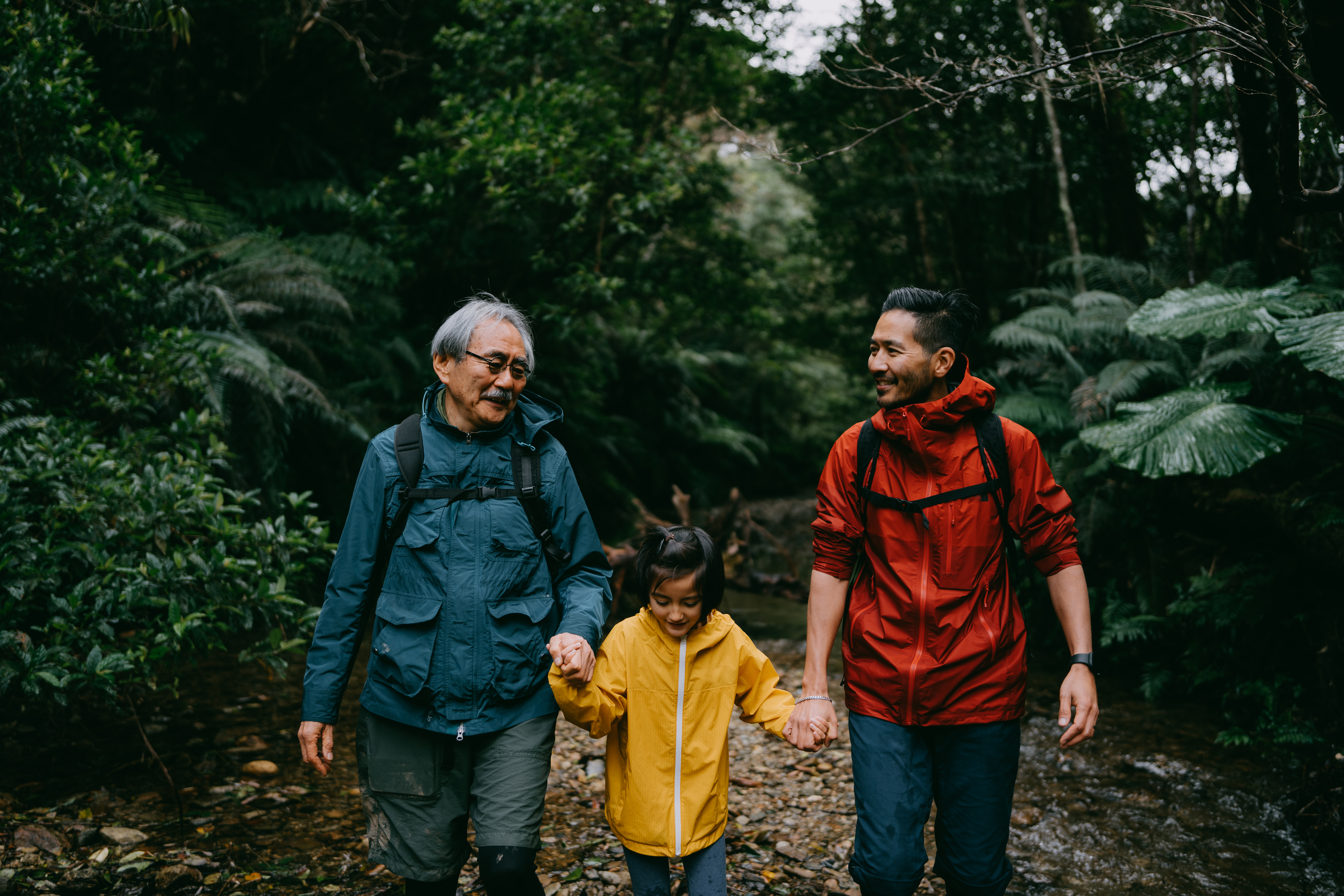 Grandfather, father and daughter enjoying hike in rainforest in rain, Yanbaru National Park, Okinawa, Japan