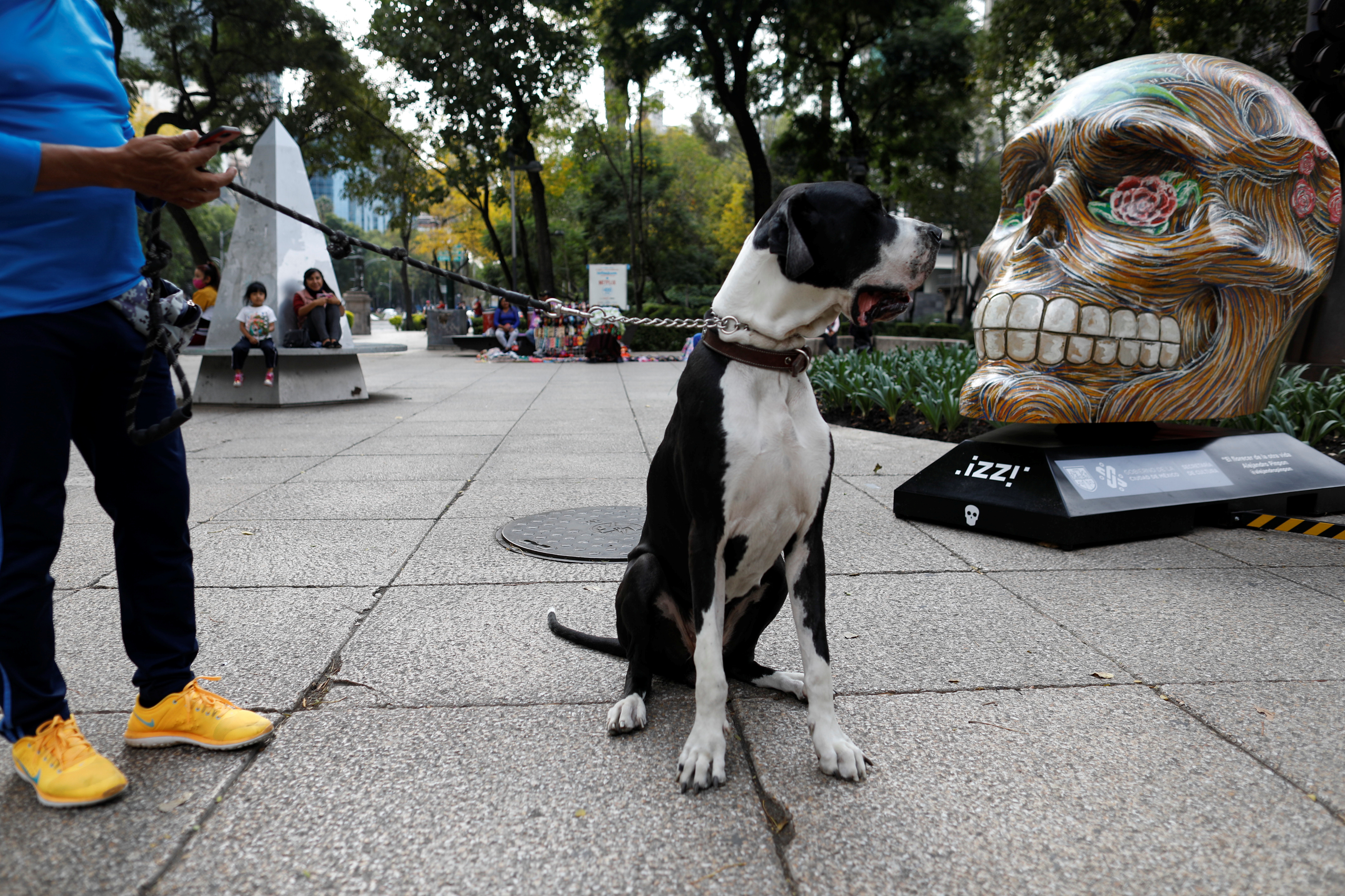 Un perro se sienta cerca de una calavera exhibida en la avenida Reforma, como parte de las festividades previas a la celebración del Día de Muertos, en la Ciudad de México, México, 13 de octubre de 2020.