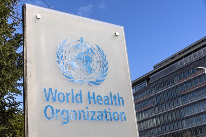 La OMS consideró que existe un riesgo "bajo" de que se produzca una pandemia por la propagación del virus de la gripe aviar en seres humanos/ REUTERS/Denis Balibouse
