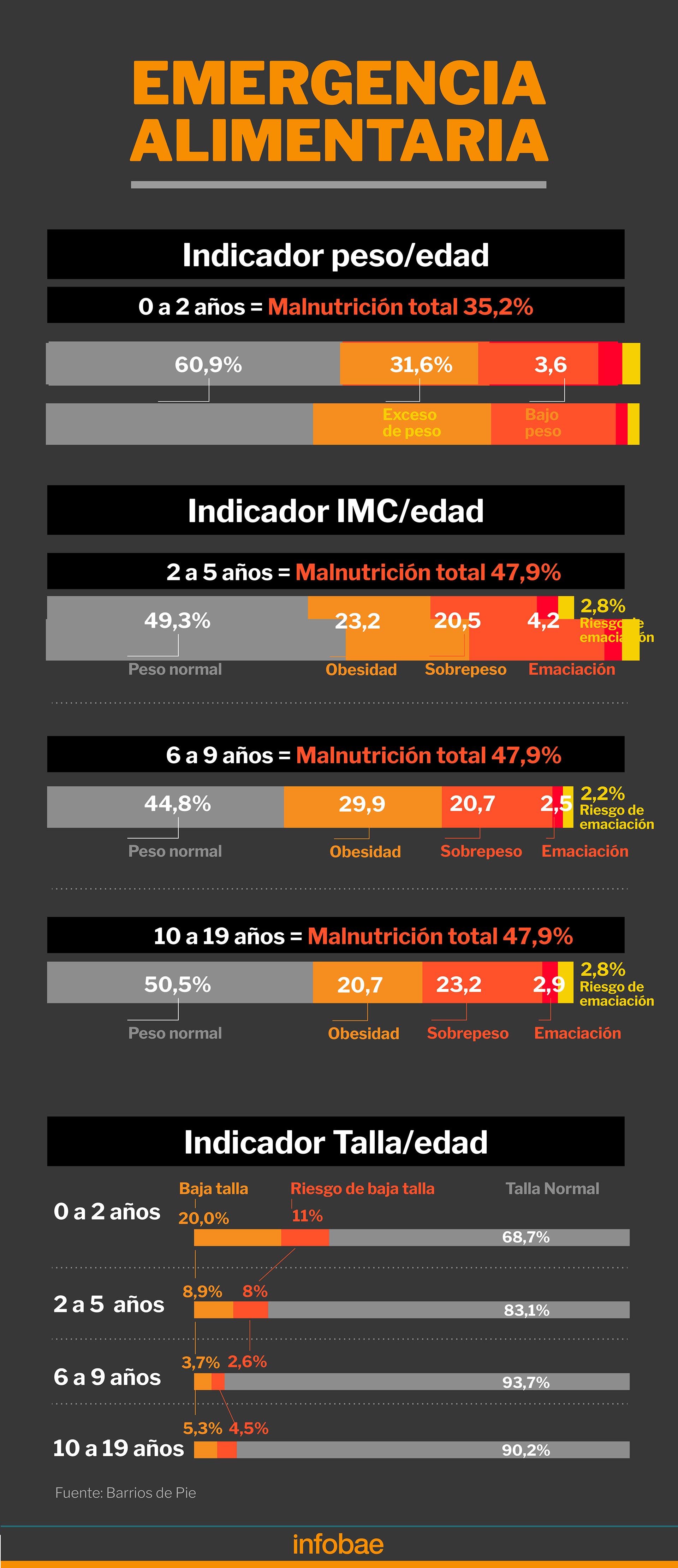 El resumen de la situación nutricional en los niños de barrios populares, según peso, IMC y talla
