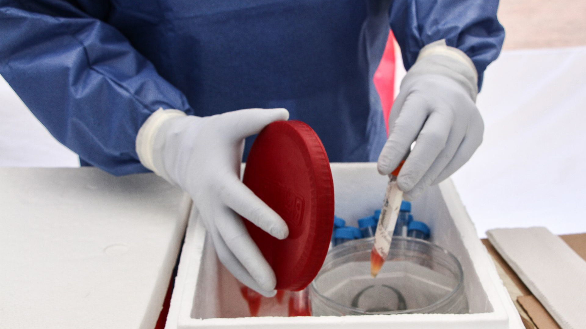 Las muestras tomadas son almacenadas en contenedores especiales para su posterior análisis (Foto: Cuartoscuro)