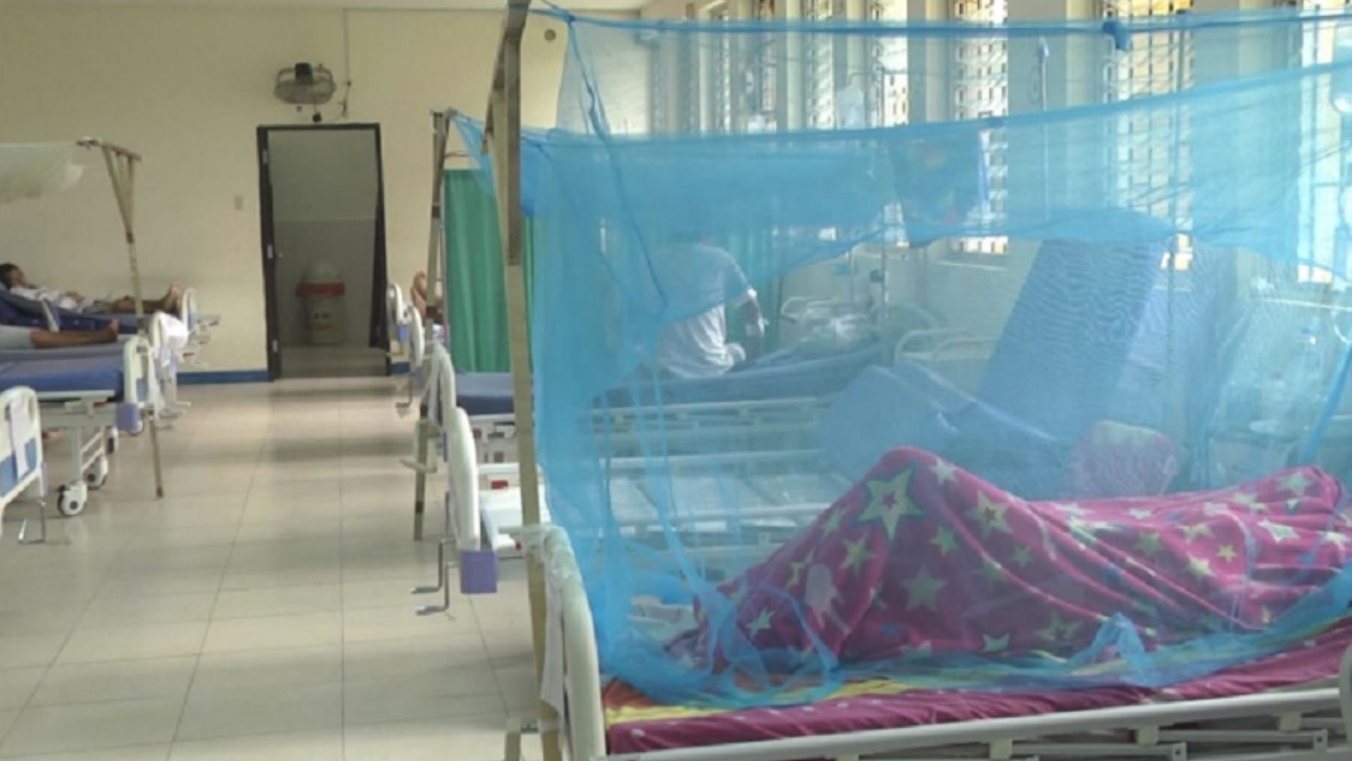 Dengue en Perú: contagios se incrementan hasta en 70% a causa de las intensas lluvias