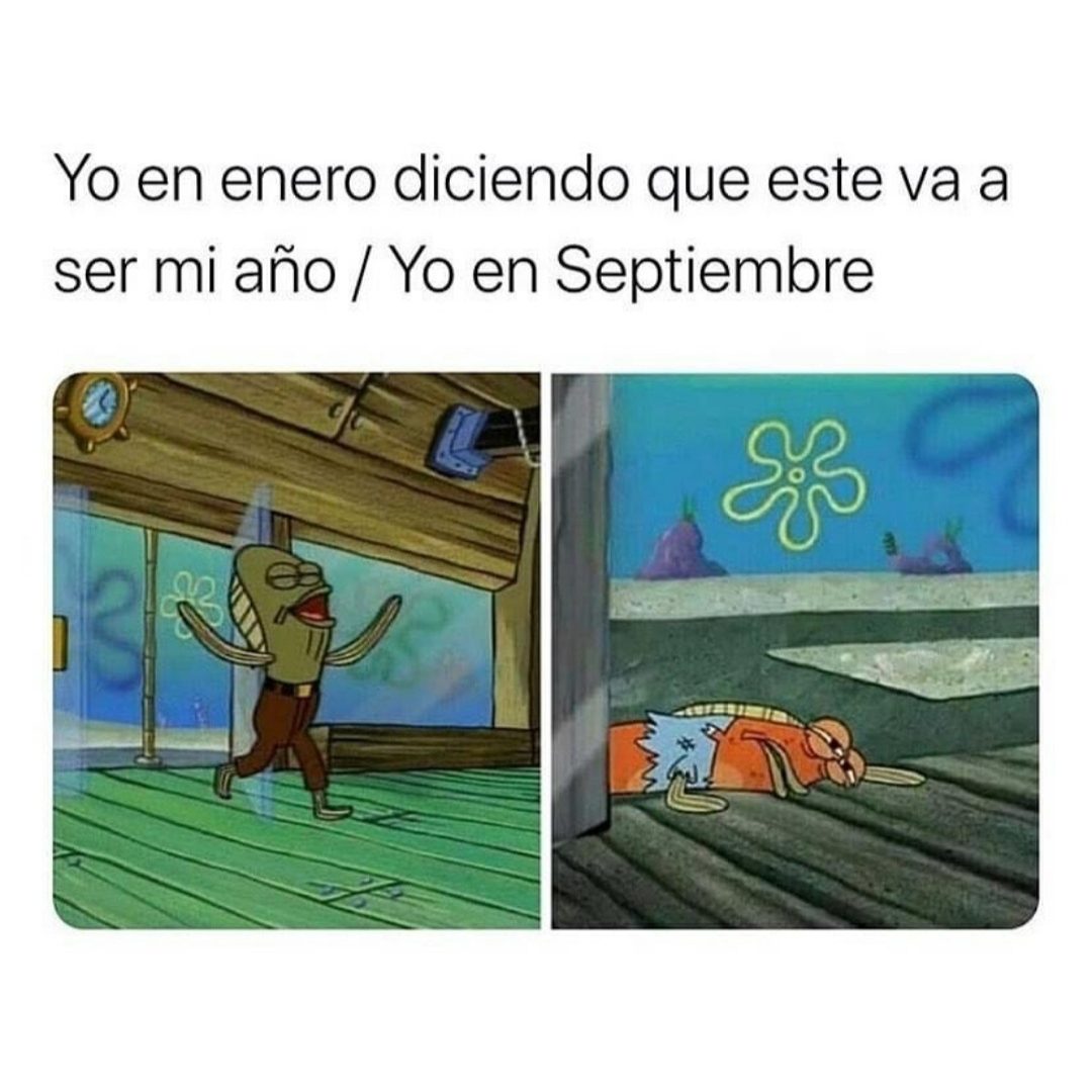 Memes para enviar en año nuevo.