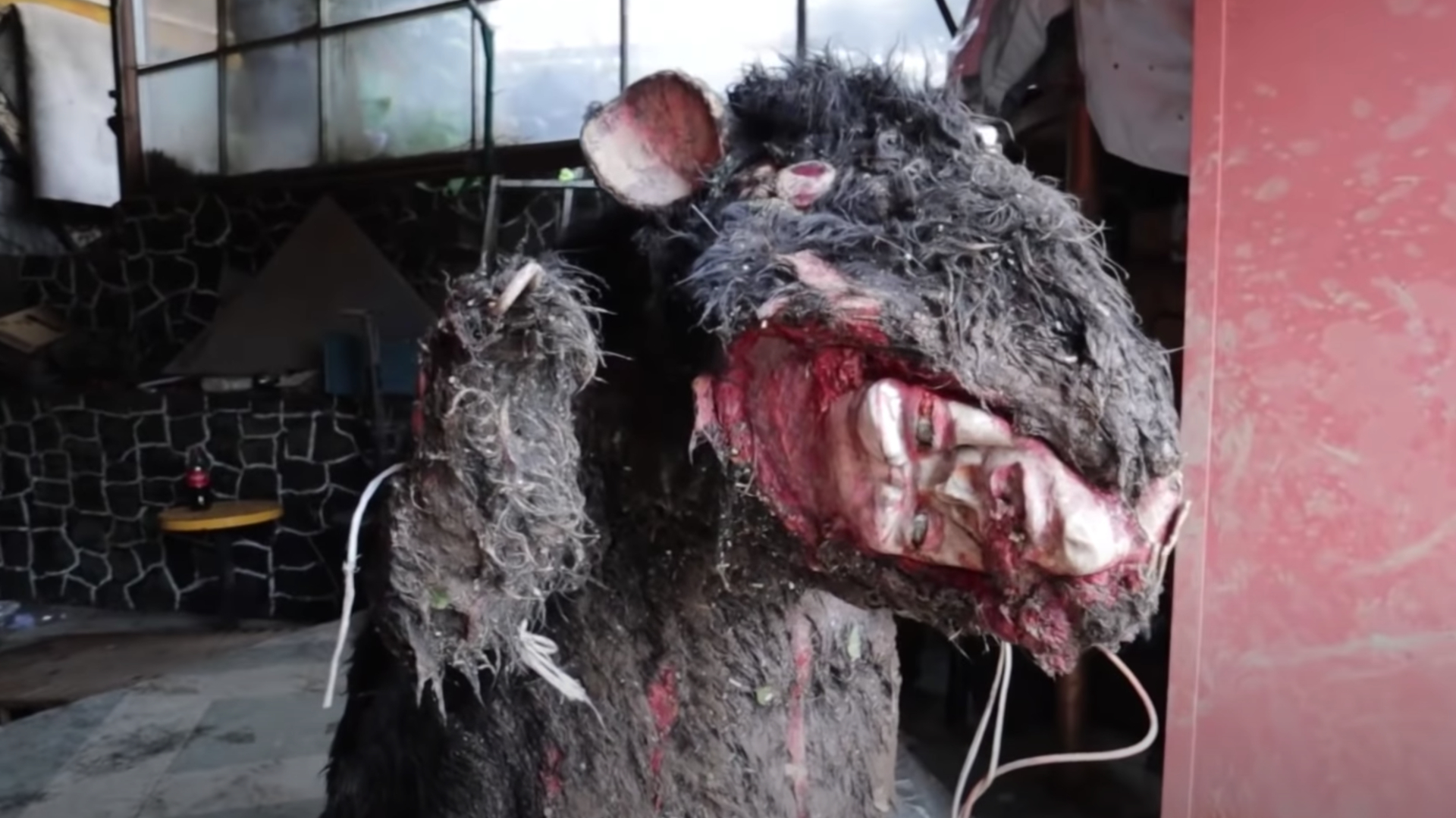 No fue abandonada, ni apareció en una coladera: la verdadera historia de la rata  gigante de la Magdalena Contreras - Infobae