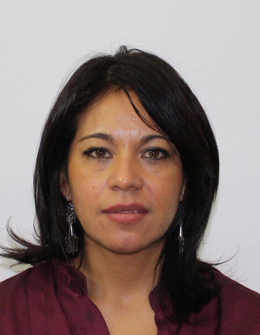 Araceli Mondragon González, new member of the Technical Evaluation Committee (Private)