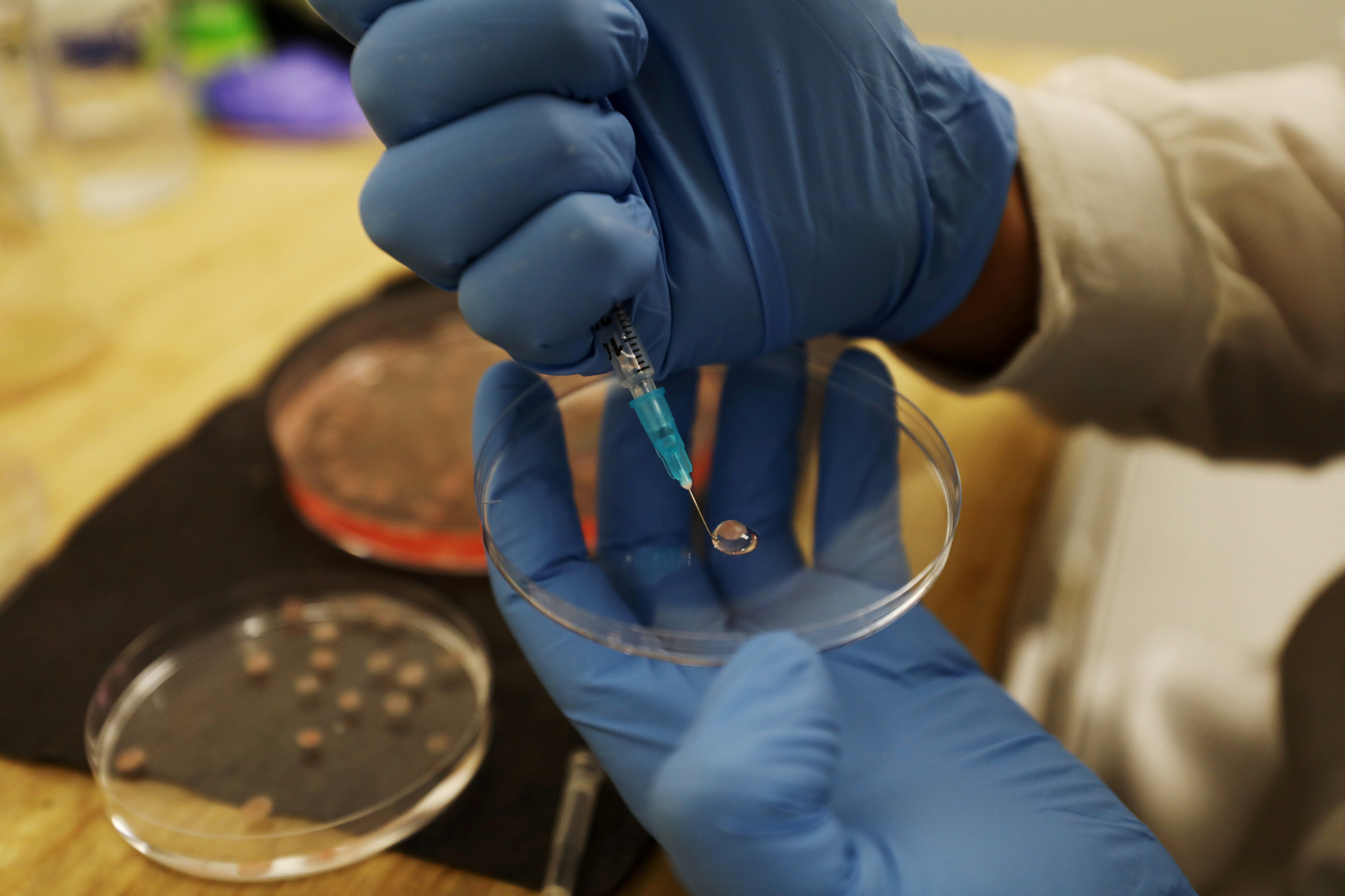 La medicina está avanzando sobre uno de los tumores más letales( REUTERS/Ammar Awad)