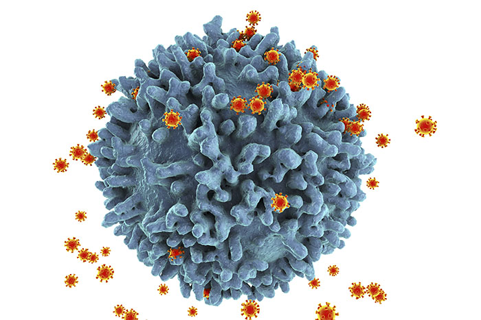 Un modelo 3D del VIH (Janssen)