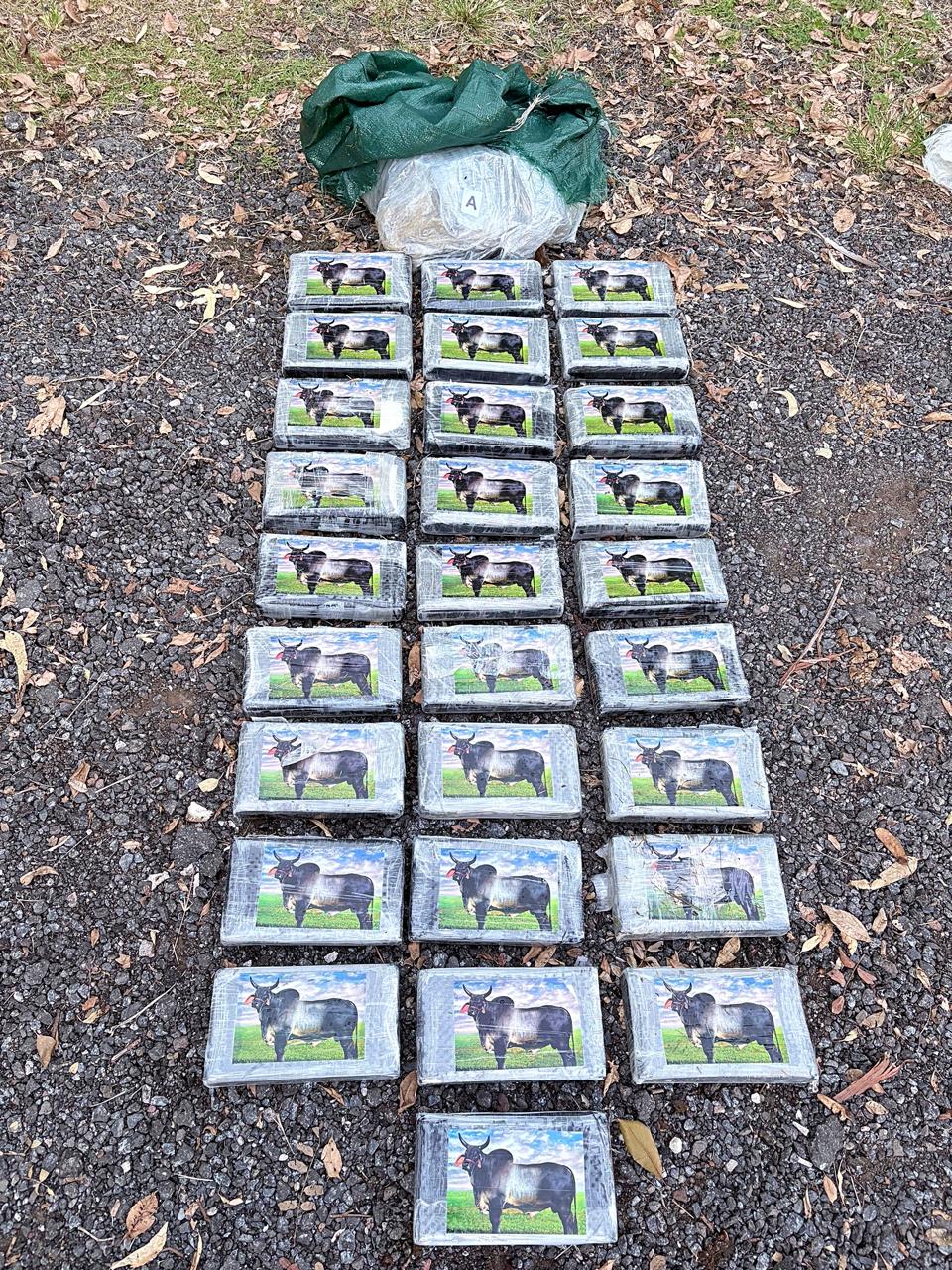 El referéndum que divide a Italia: ¿Por qué el voto en Argentina puede definir el futuro de sus jueces?