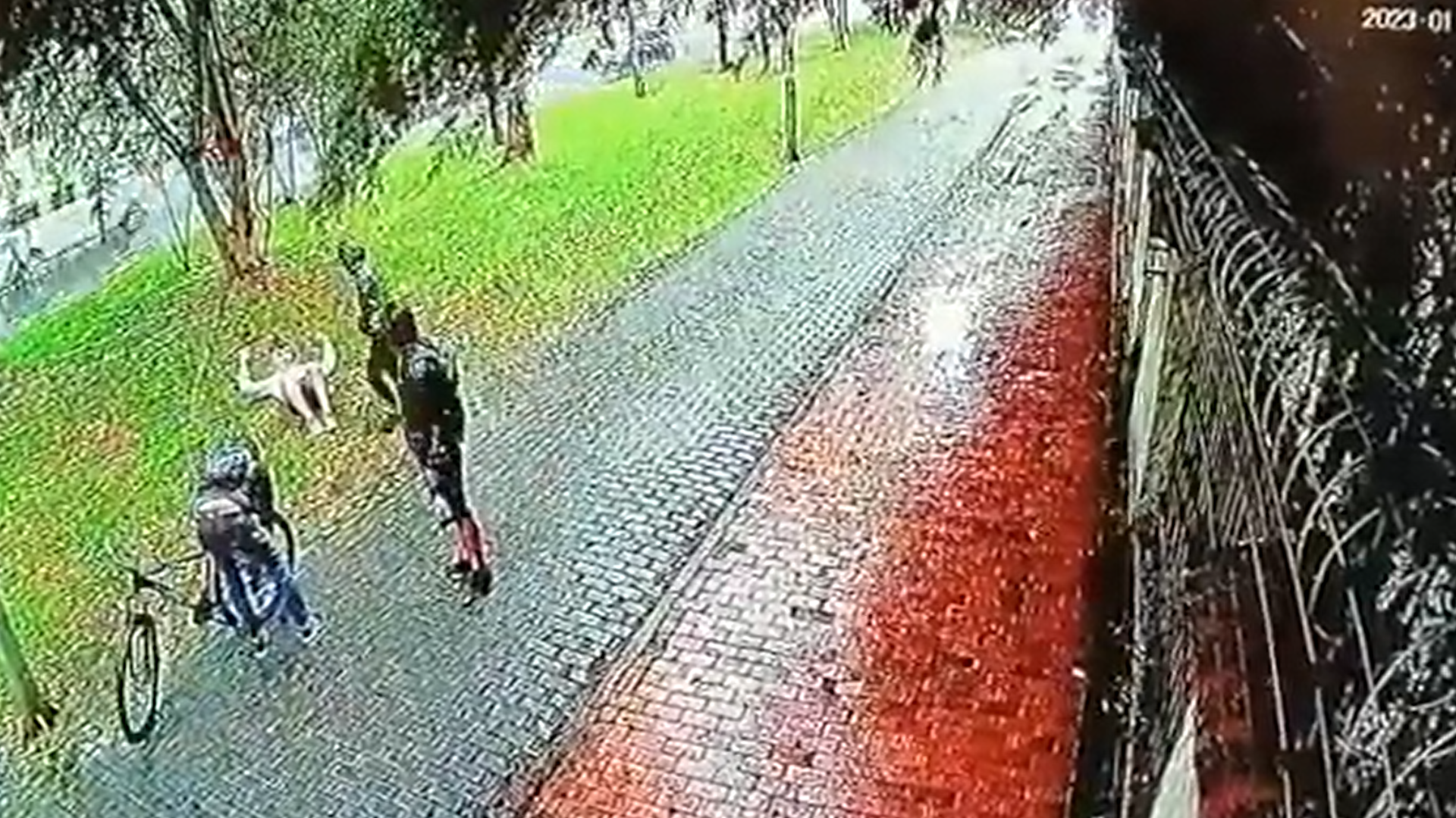 Video: en manada tumbaron de su bicicleta a un ciudadano para atracarlo en el norte de Bogotá 