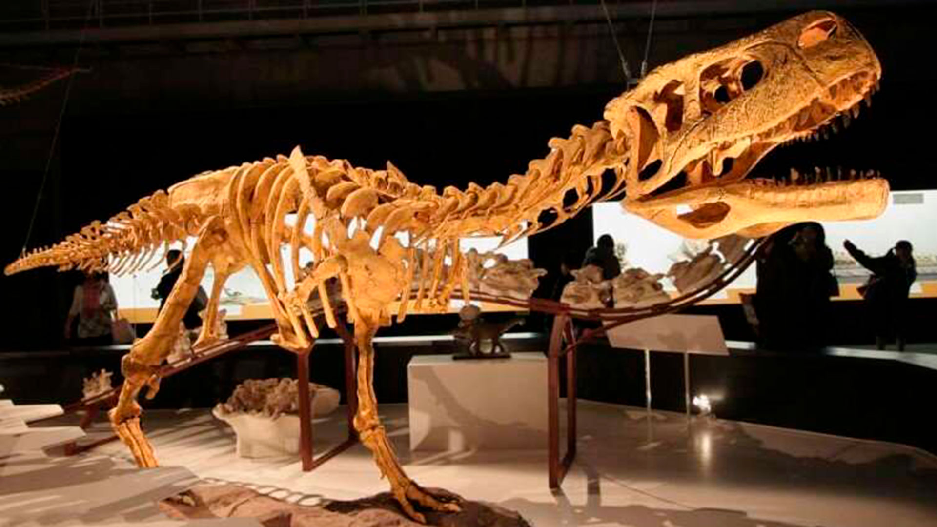Los abelisaurios tenían extremidades anteriores muy reducidas (Credito: Kabacchi)