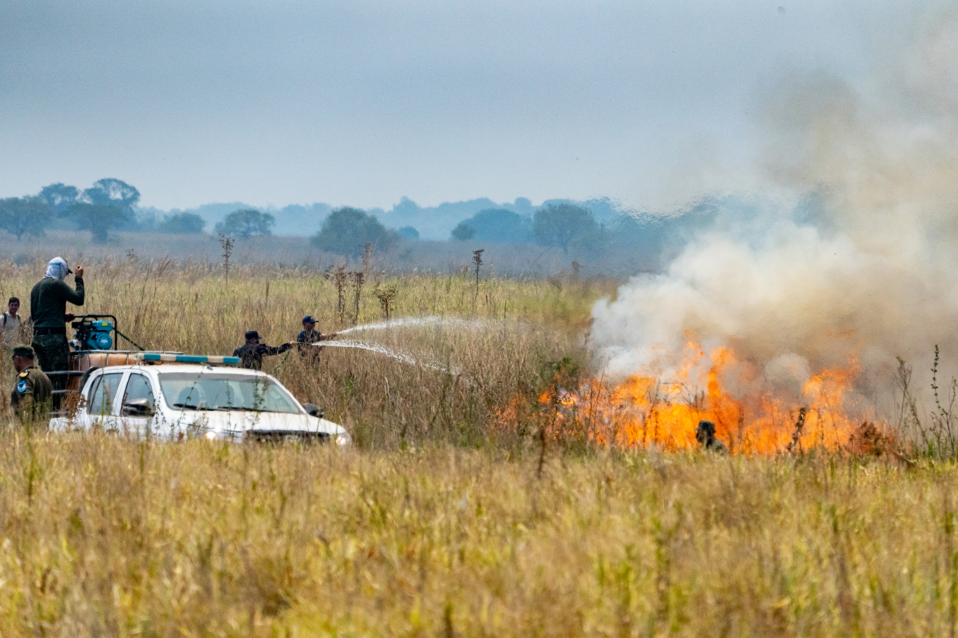 Protege especies en extinción en Iberá y se quedó a luchar contra el fuego: “Acá se quemó casi todo”