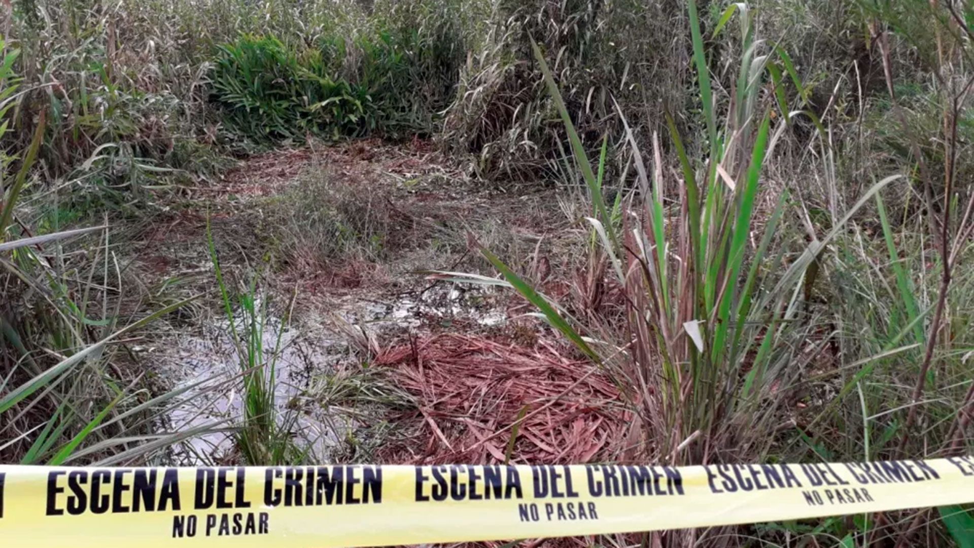 El bañado donde fue encontrado el cuerpo: estaba semihundido en un pantano (elterritorio)
