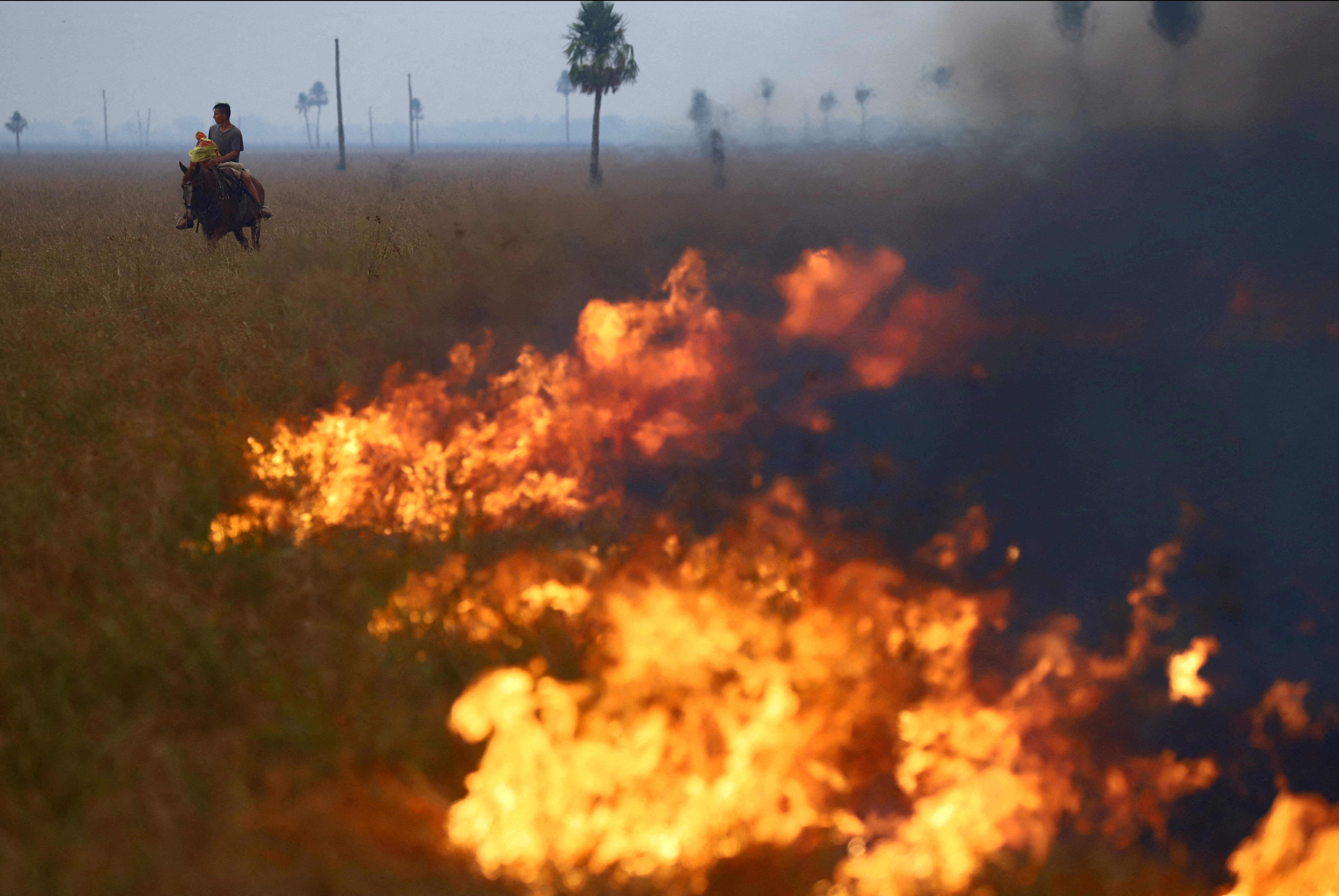 La Estación Corrientes del Instituto de Tecnología Agropecuaria (INTA) informó que ascienden a más de 785 mil las hectáreas arrasadas por el fuego en Corrientes