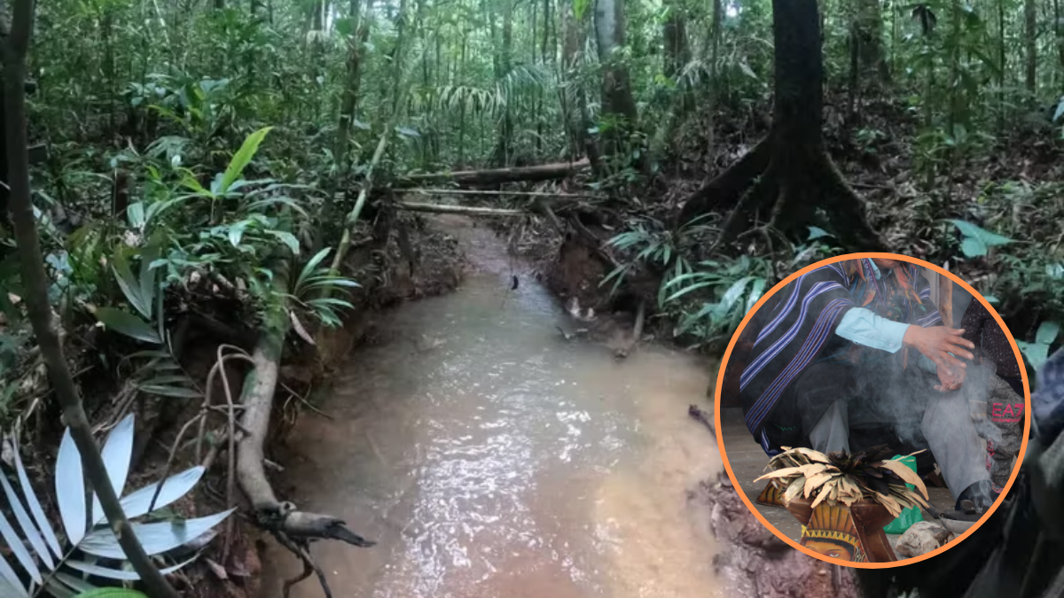 Niños desaparecidos en el Guaviare están “encantados por la selva”, aseguró un rescatista indígena