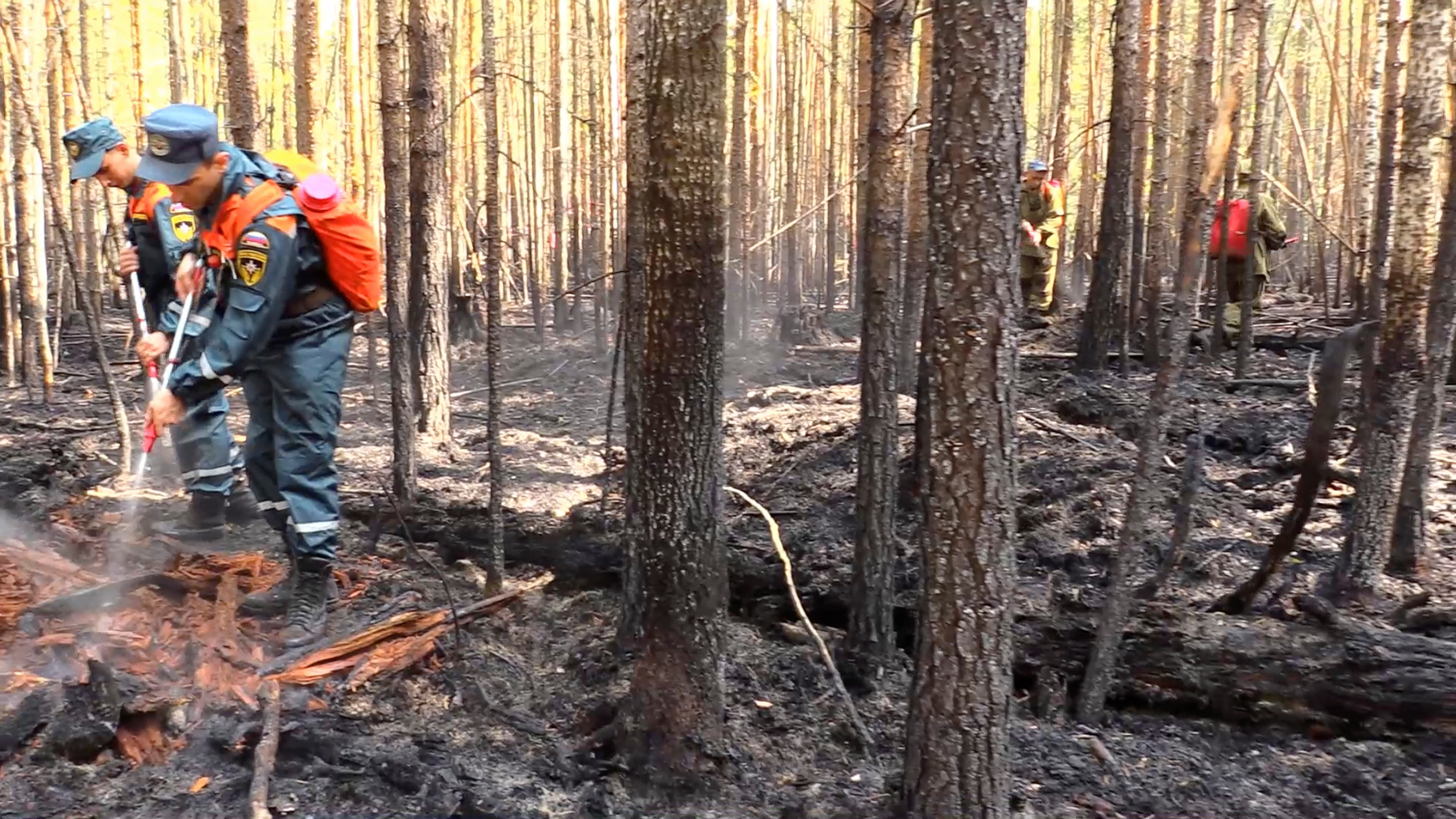 Las Im Genes M S Impactantes De Los Incendios Forestales Causados Por La Ola De Calor Sin