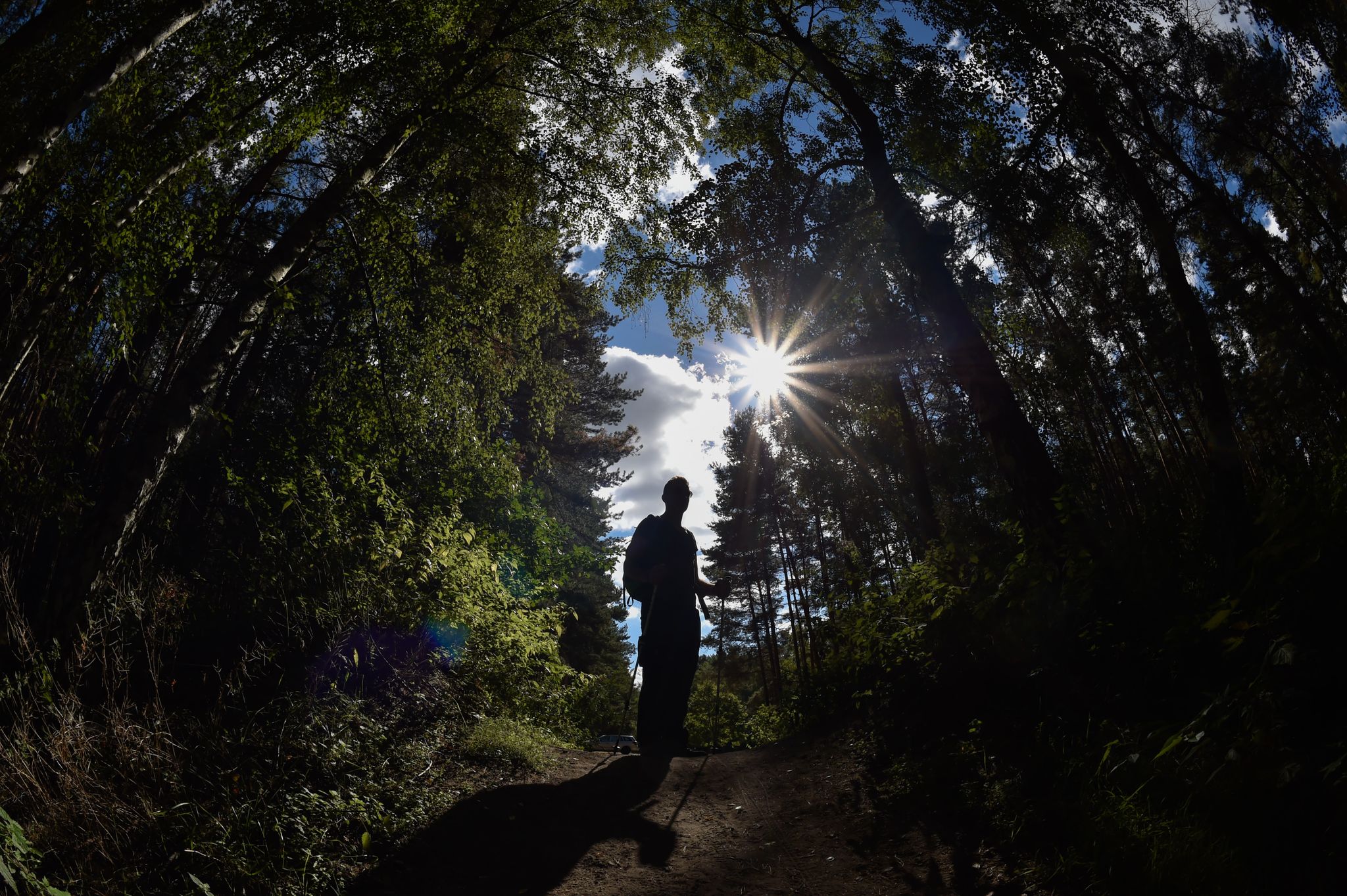 Cuidado Con Las Quemaduras Solares También En Los Bosques Infobae