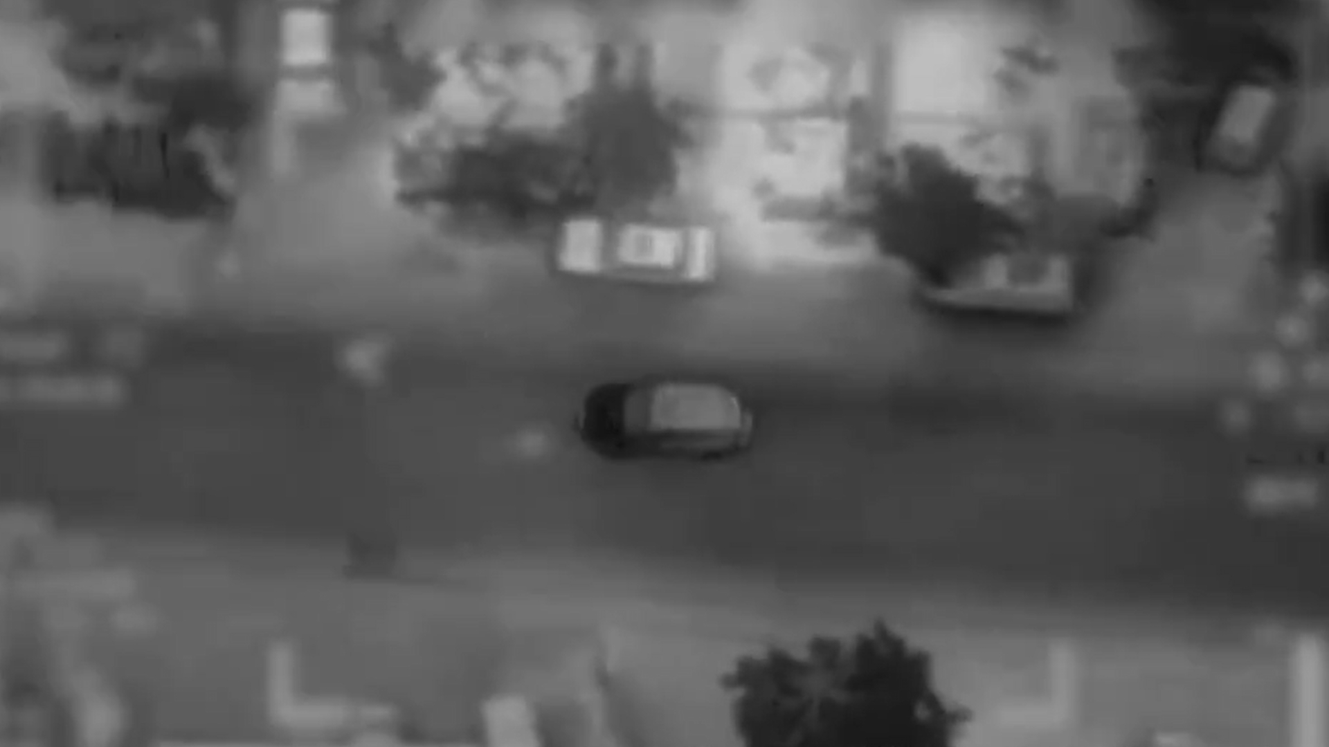 Milei cree que el Senado aprobará la suspensión de las PASO y el Gobierno mira con atención Ficha Limpia