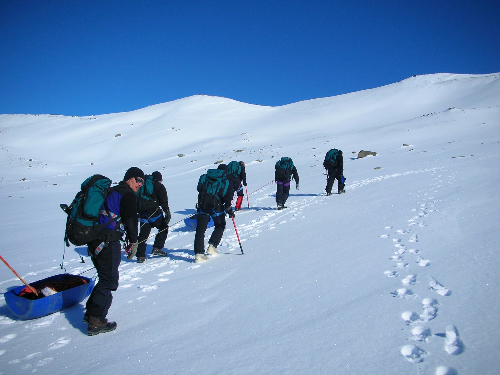 Ni vivo ni muerto, en la Antártida no se abandona a nadie. El grupo de hombres camino hacia el lugar de la grieta (Equipo de Rescate)