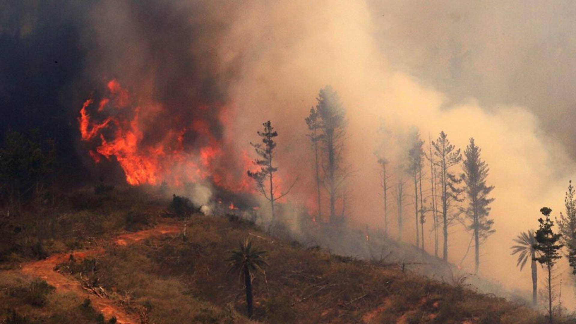 Según el subsecretario del Interior de Chile, Manuel Monsalve, durante la última jornada se han producido 17 nuevos incendios forestales.