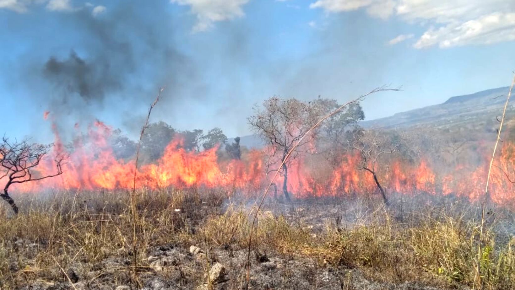 More than 50 fires were registered in Tuxtla Gutiérrez in the first months of 2023. (Chiapas Civil Protection)