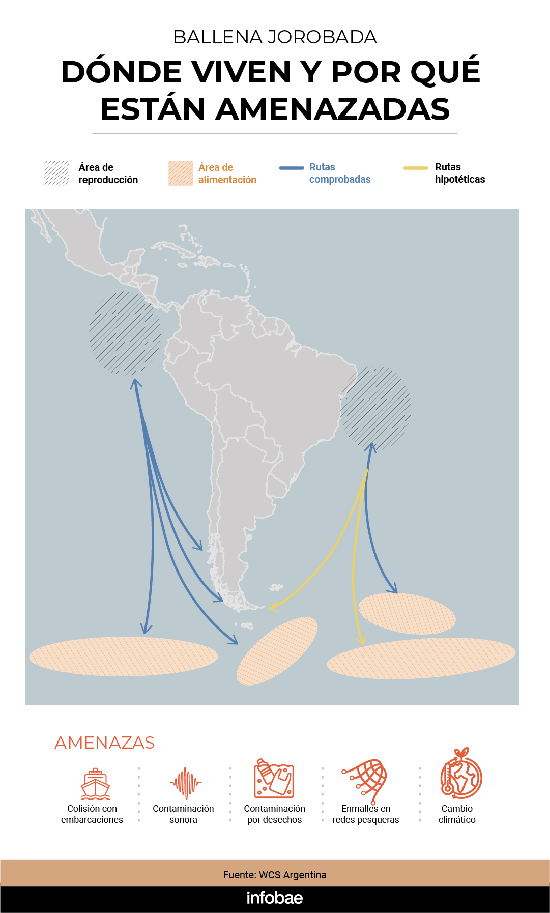 infografia