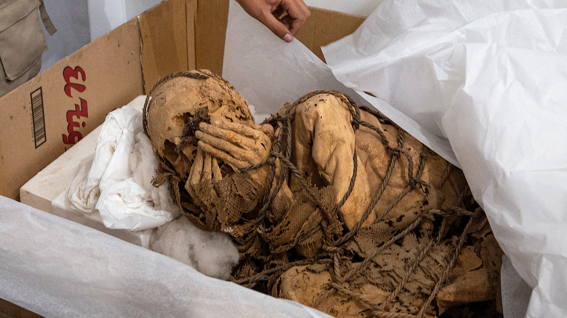 Las impactantes fotos de la momia preinca atada que fue hallada en Perú y desorienta a los expertos