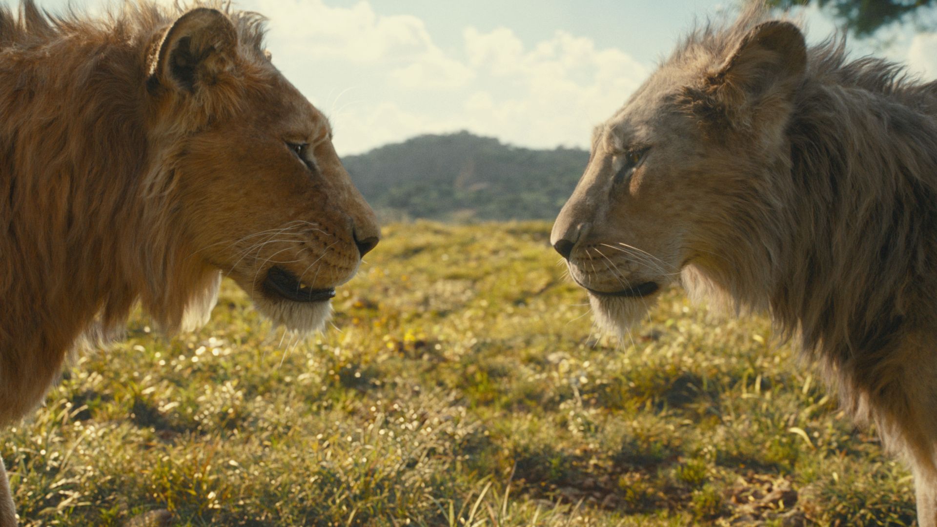 Mufasa”: un nuevo tráiler reveló los orígenes del Rey León y su hermano, el villano Scar - Infobae