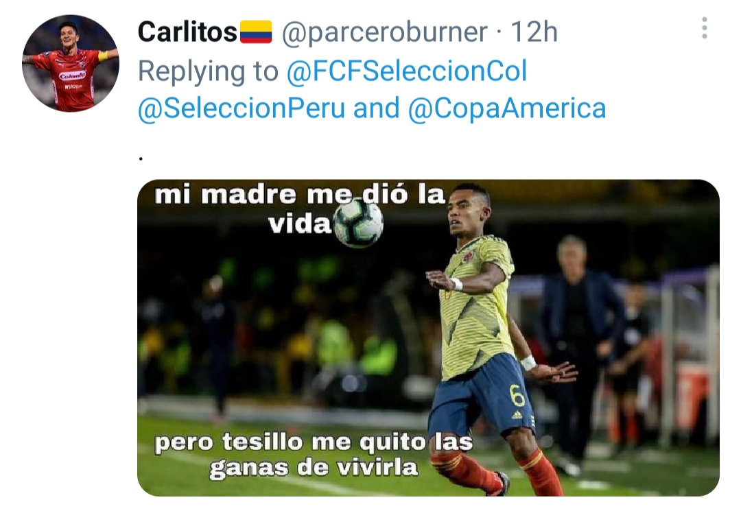 Como Me Declaro A Mi Crush Los memes no perdonan, así reaccionaron las redes sociales a la derrota de  Colombia - Infobae