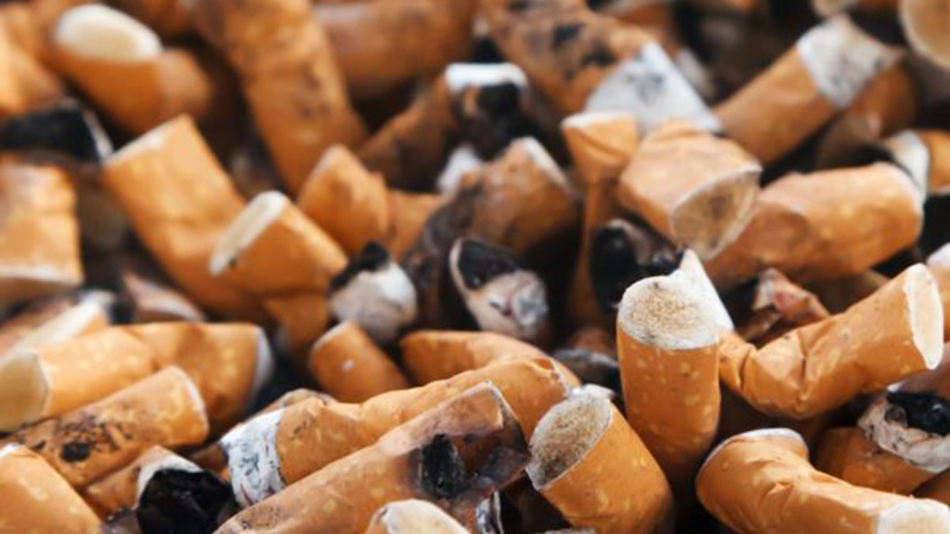 Se calcula que los fumadores desechan entre 4,5 y 5,6 billones de colillas por año, es decir 18 mil millones por día