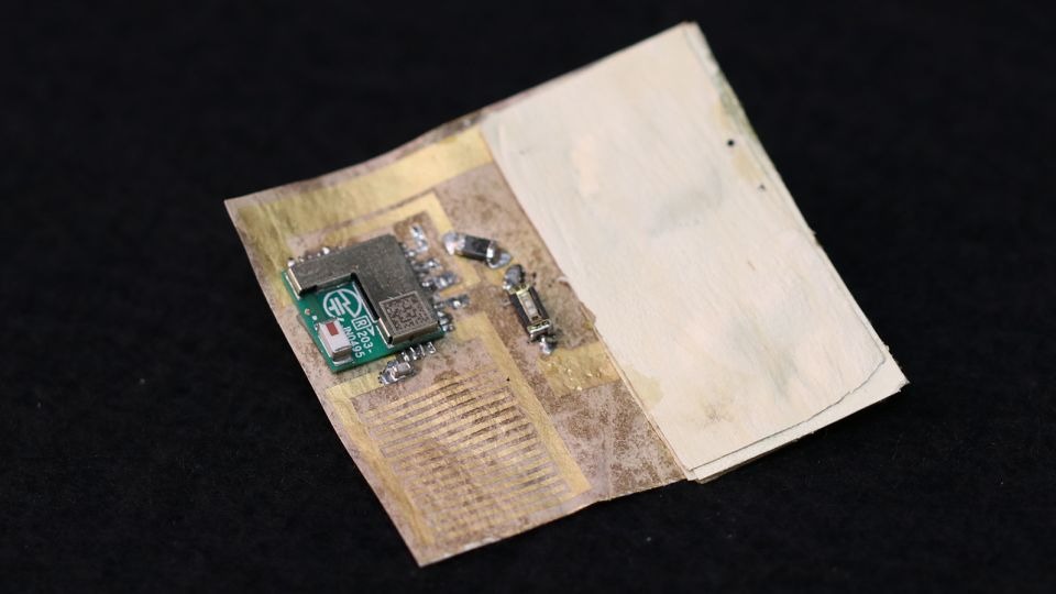 Científicos crean chips usando piel de hongos (Soft Matter Physics, JKU Linz)