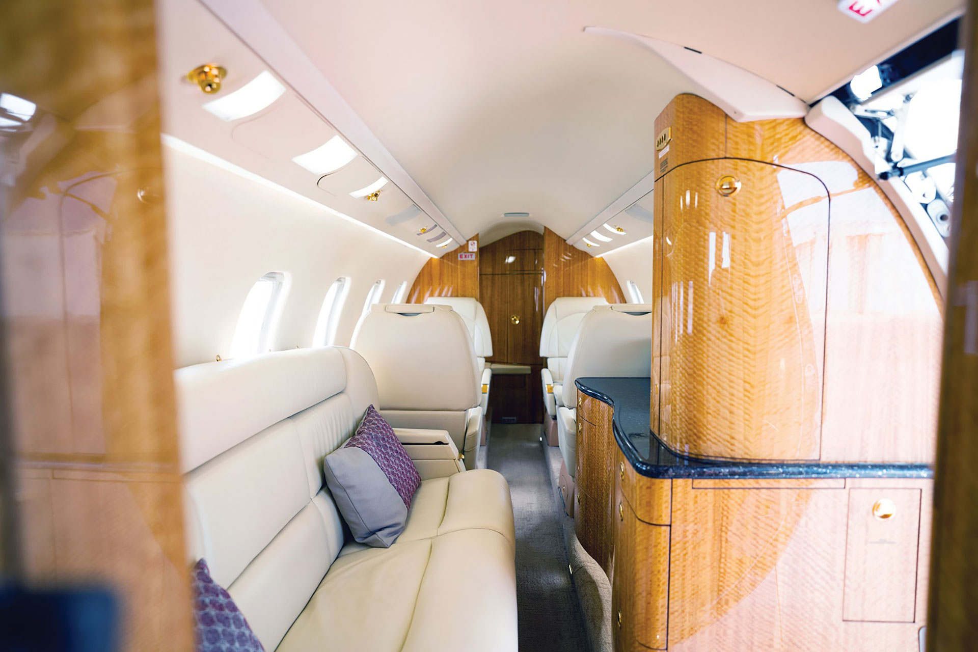 El jet cuenta con dos camas y una sala de estar con TV plasma y un confortable comedor (Twitter/@jetaviation)