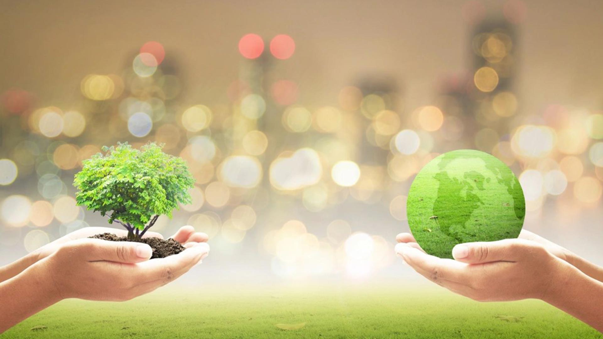 Los ganadores del ClimateLaunchpad se conocerán el 17 de septiembre