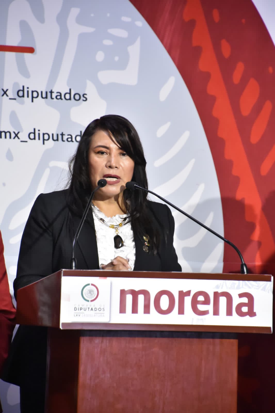 Diputada de Morena exigió la salida de Ignacio Mier tras acusarlo de  violencia política - Infobae