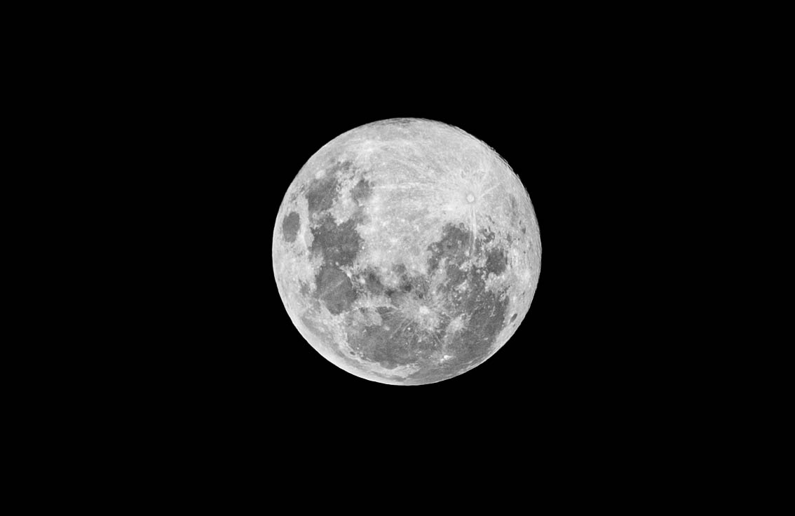 Luna de lobo', el fenómeno astronómico que se podrá apreciar en Colombia  este jueves - Infobae