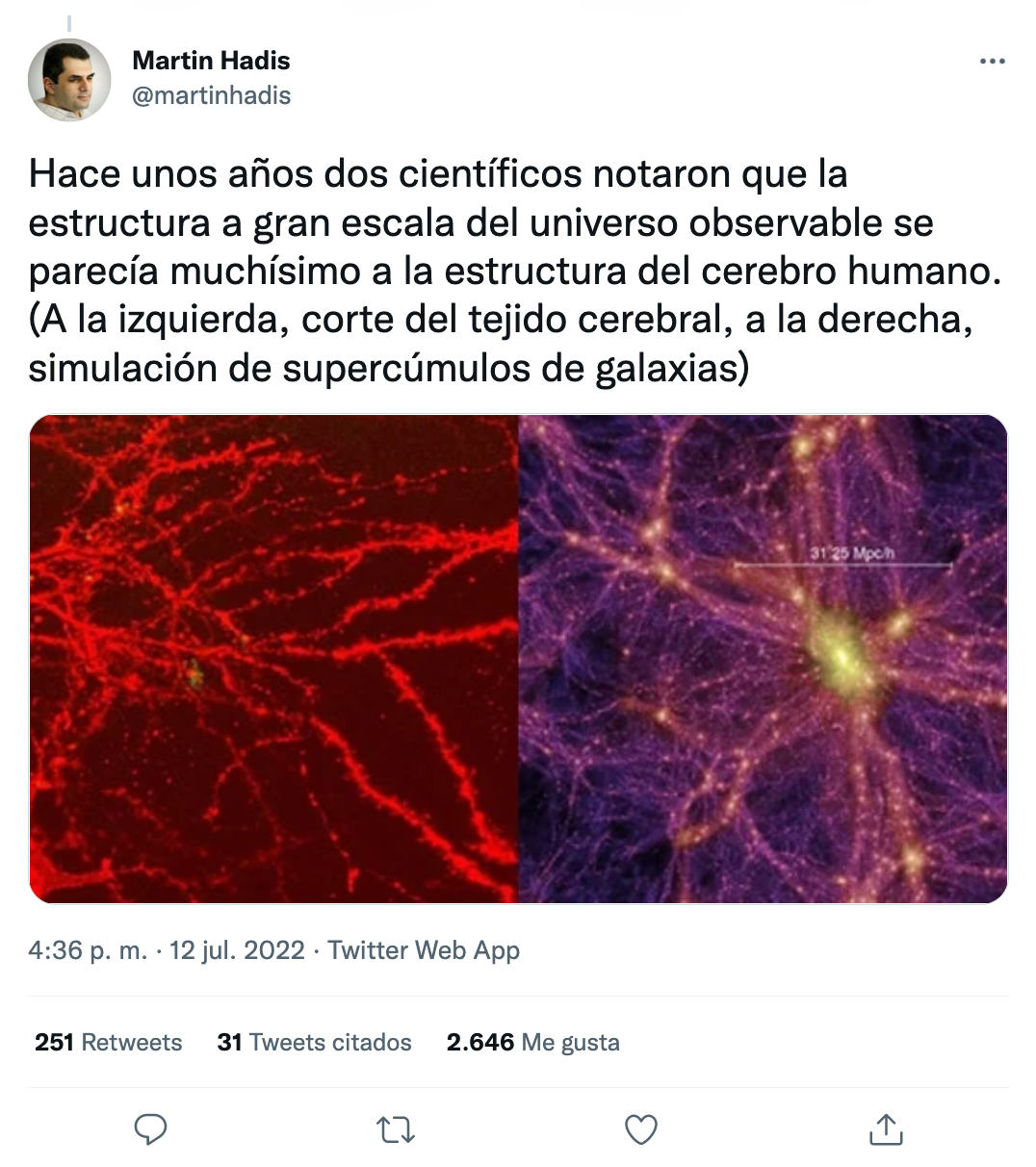 El experto detalla que el universo observable está conformado por una red cósmica de 100 mil millones de galaxias aproximadamente y que el cerebro humano tiene una una red neuronal con una cantidad similar de neuronas (Twitter)
