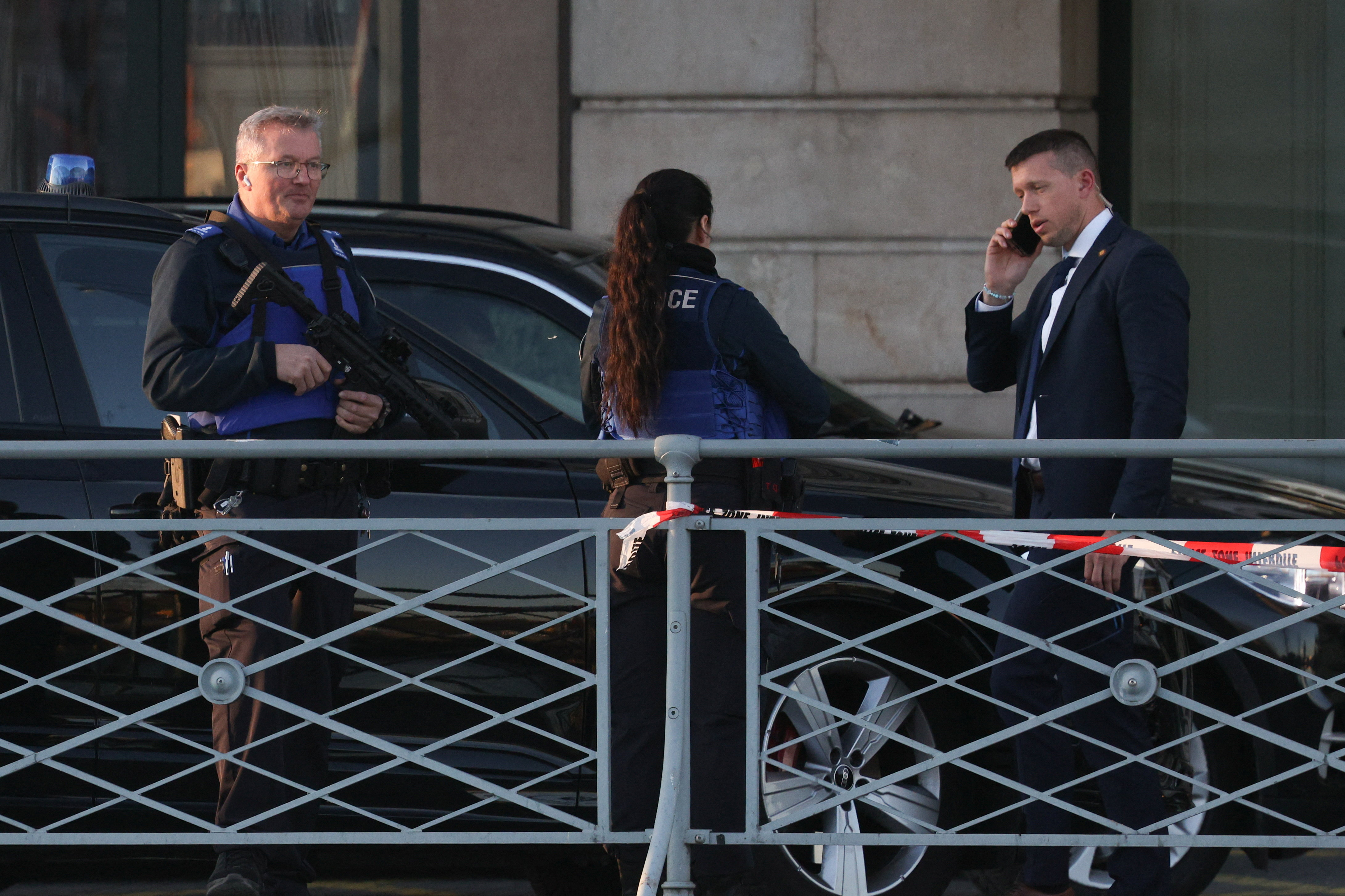 Rescataron al “Punch cordobés”: un mono tití estaba fuera de su hábitat y lo encontraron en una casa