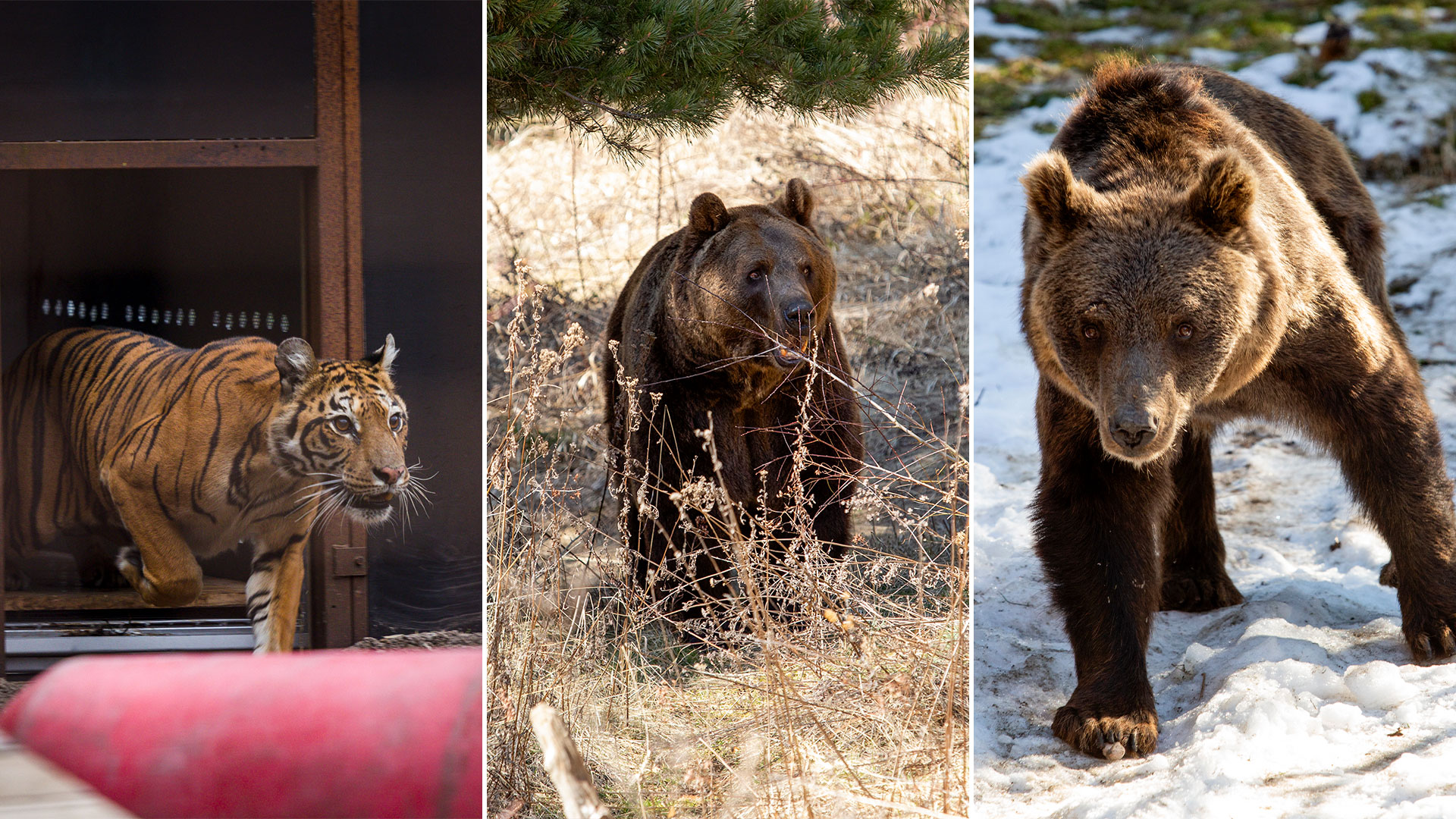 Luis Petri acusó a Villarruel de “apostar al fracaso del Gobierno” y se cruzaron en las redes