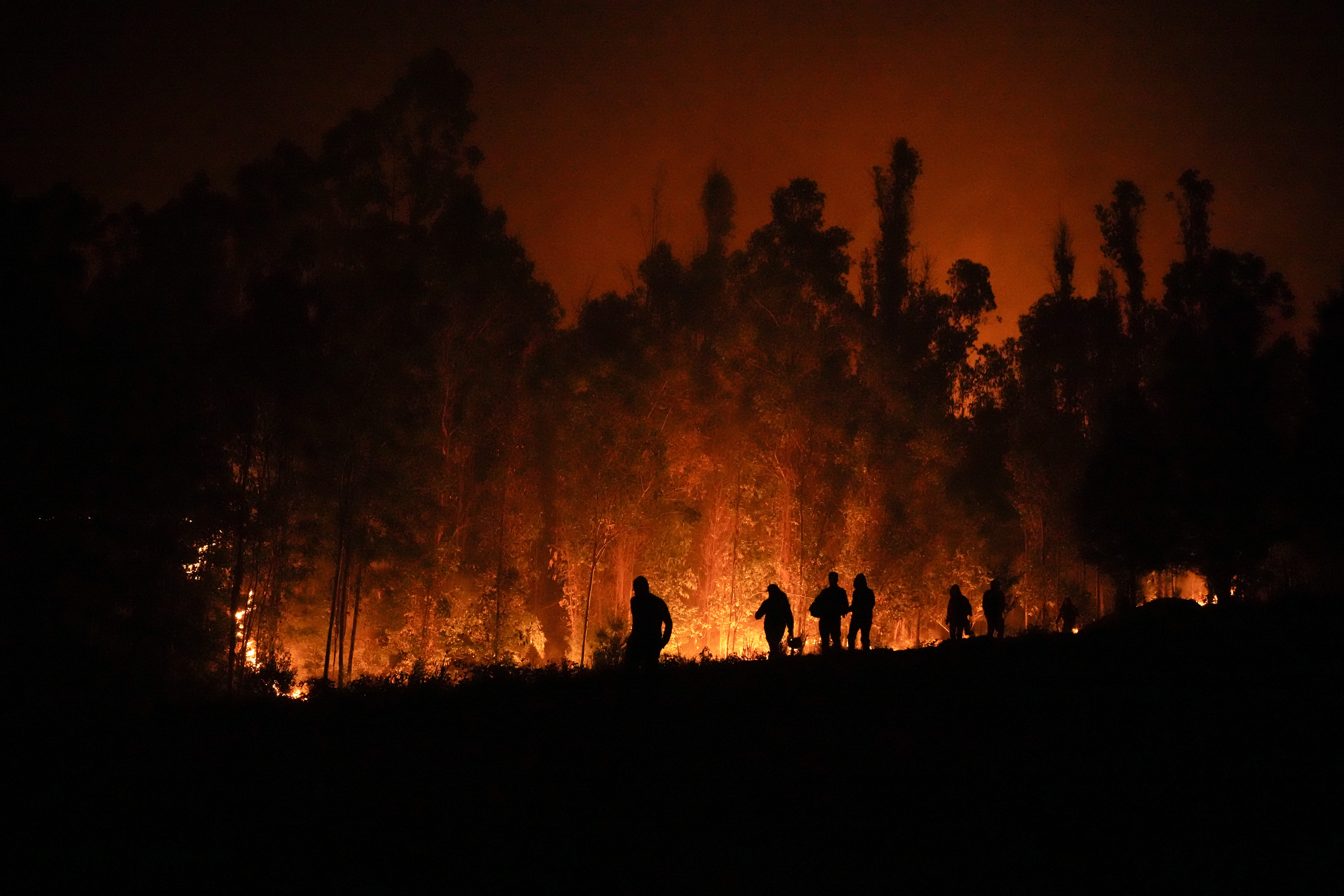 Mexico will send trained personnel to fight forest fires in Chile (AP Photo/Matias Delacroix)