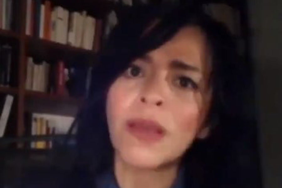 La escritora habló de su libro (Foto: captura de pantalla-Anabel Hernández)