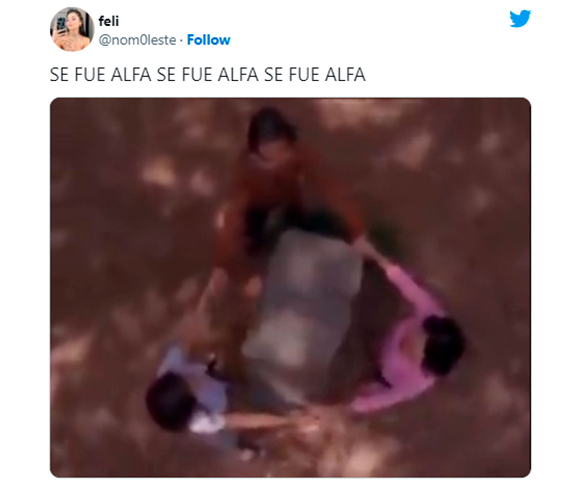 Estallaron los memes por la eliminación de Alfa de la casa de Gran Hermano 2022