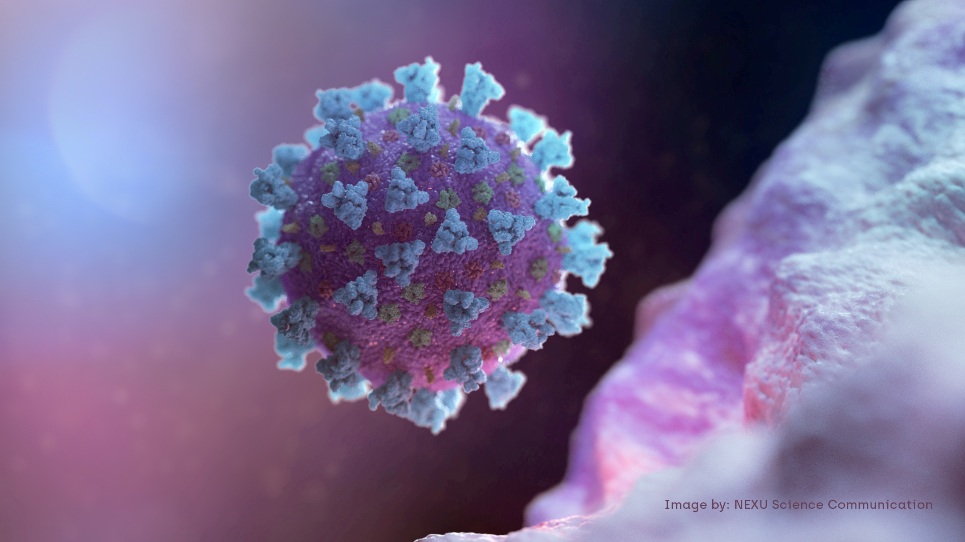 El SARS-CoV-2 que desarrolla la enfermedad del coronavirus