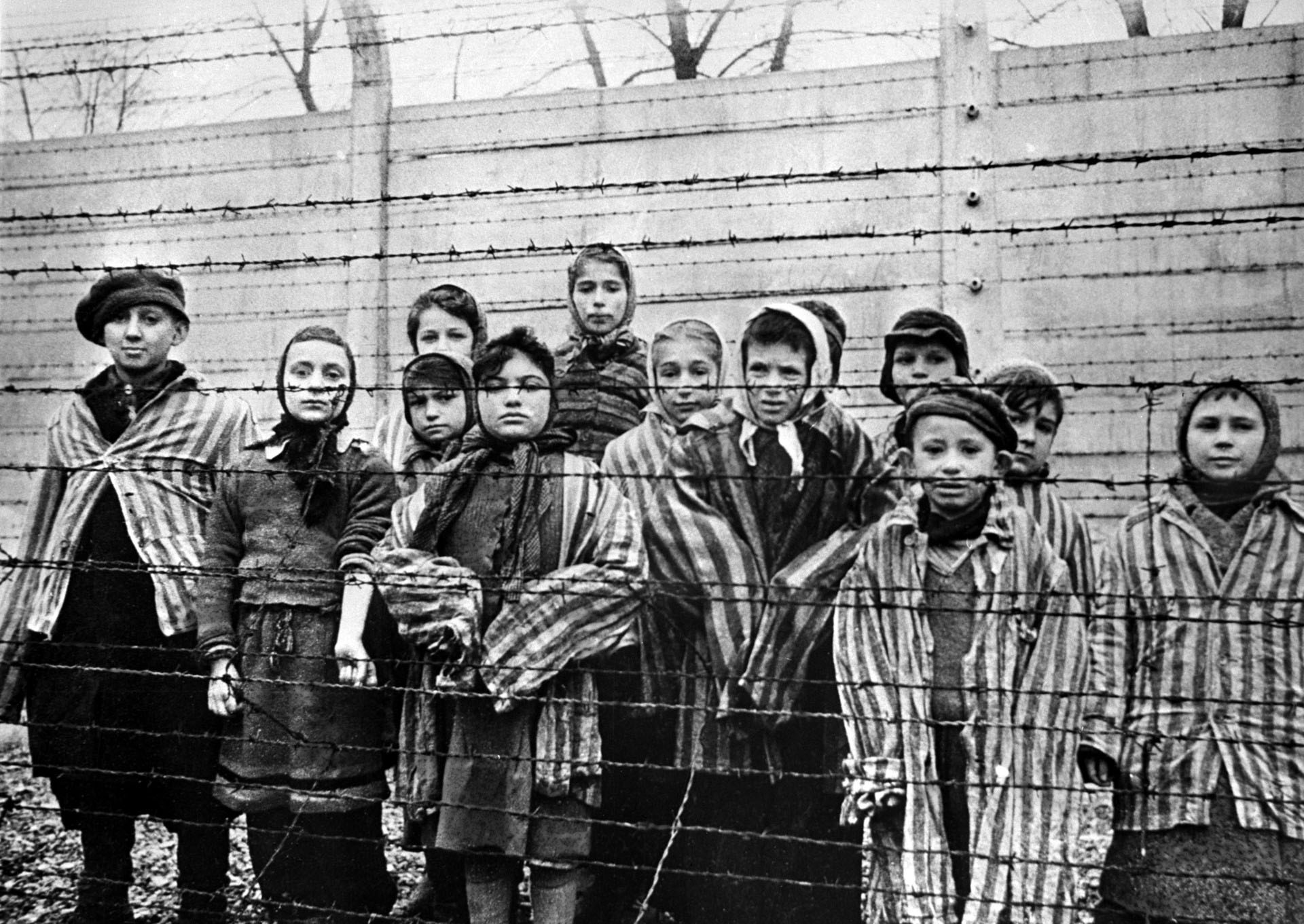 El frío, el hambre y el horror en primera persona: 15 testimonios de  sobrevivientes del Holocausto que se radicaron en Argentina - Infobae