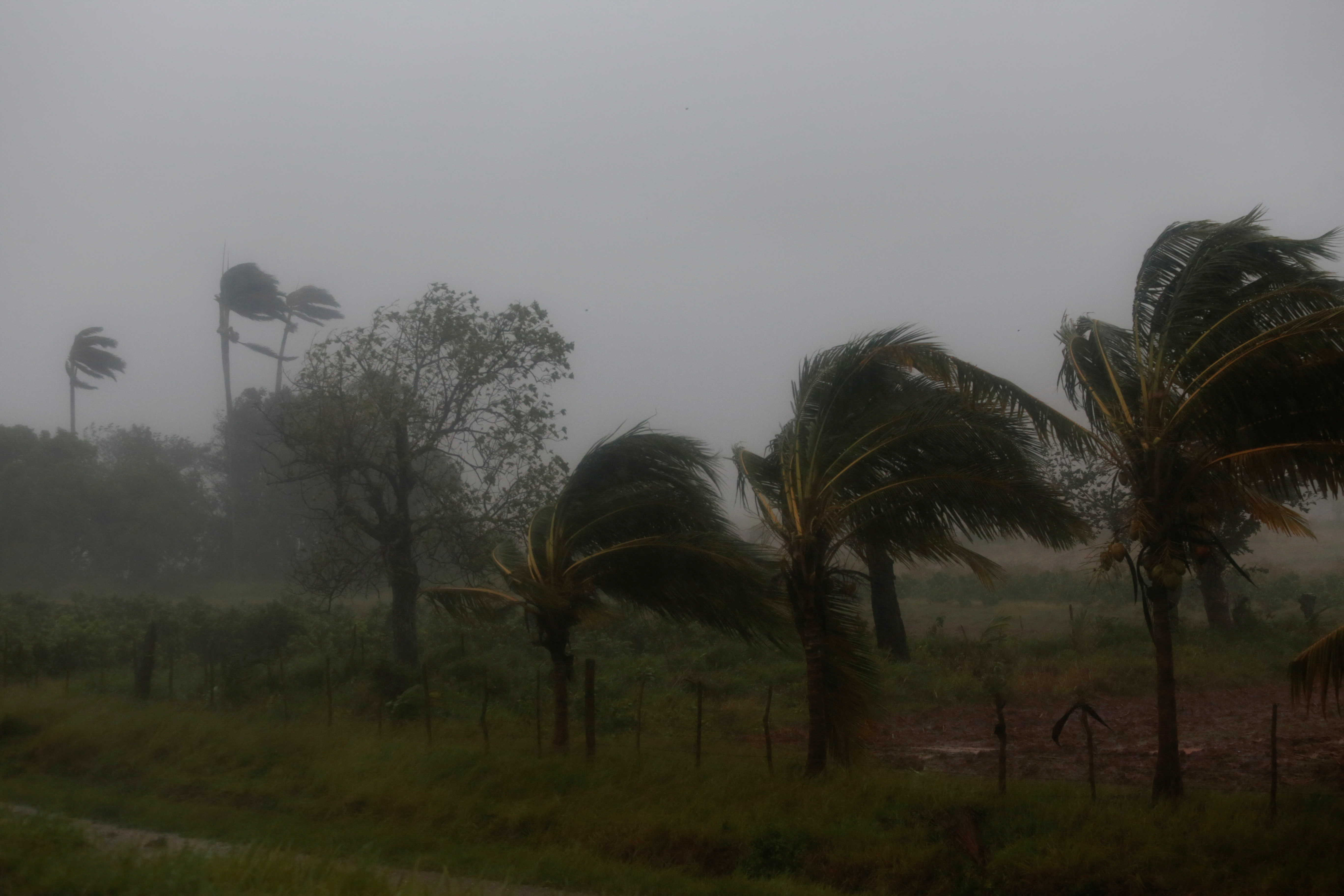 Strong winds and heavy rain pound the countryside after Hurricane Ian made landfall in Cuba's Pinar del Rio province earlier, in Consulacion del Sur, Cuba September 27, 2022. REUTERS/Stringer NO RESALES. NO ARCHIVES